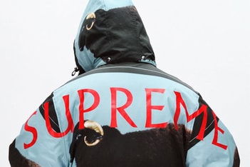 Picture of Supreme が2025年春夏コレクションのティザーを公開